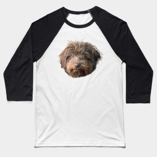 Havanese Dog Portrait Baseball T-Shirt